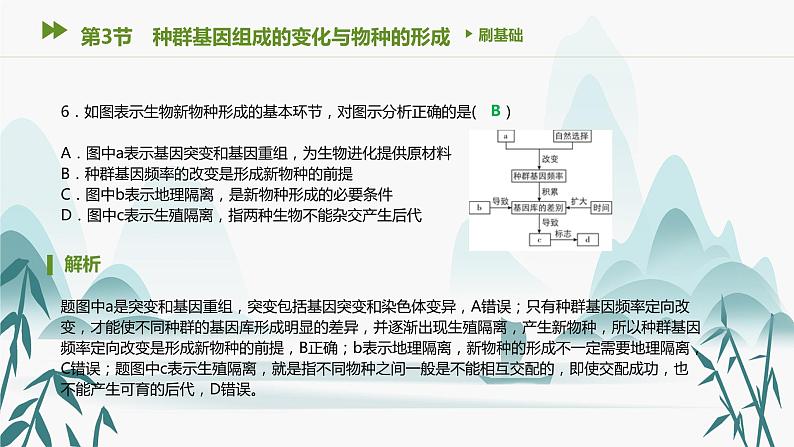 第6章 生物的进化 第3节　种群基因组成的变化与物种的形成课件PPT07