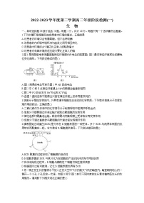 江苏省南通市海安高级中学2022-2023学年高二生物下学期第一次月考试题（Word版附答案）