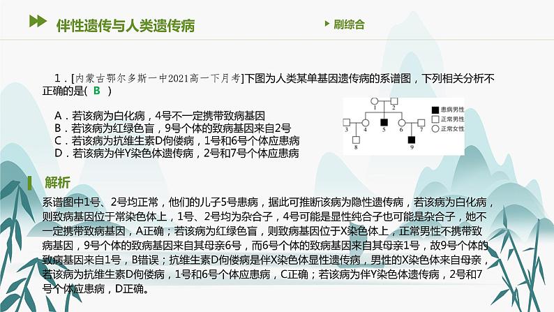 第5章 基因突变及其他变异 伴性遗传与人类遗传病课件PPT第2页