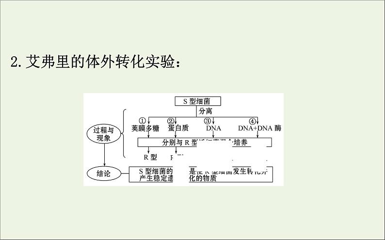 高中生物高考2020届高考生物一轮复习6 1DNA是主要的遗传物质课件 76第7页