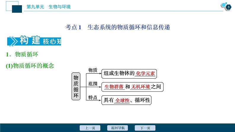 高中生物高考4 第31讲　物质循环、信息传递和生态系统的稳定性课件PPT第4页