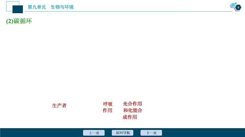 高中生物高考4 第31讲　物质循环、信息传递和生态系统的稳定性课件PPT第5页