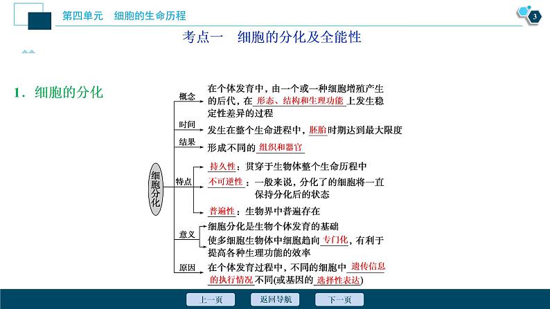 高中生物高考4　第四单元　第13讲　细胞的分化、衰老、凋亡和癌变课件PPT第4页