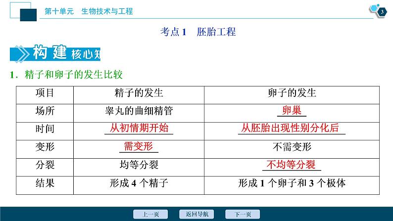 高中生物高考4 第36讲　胚胎工程、生物技术的安全性与伦理问题课件PPT04