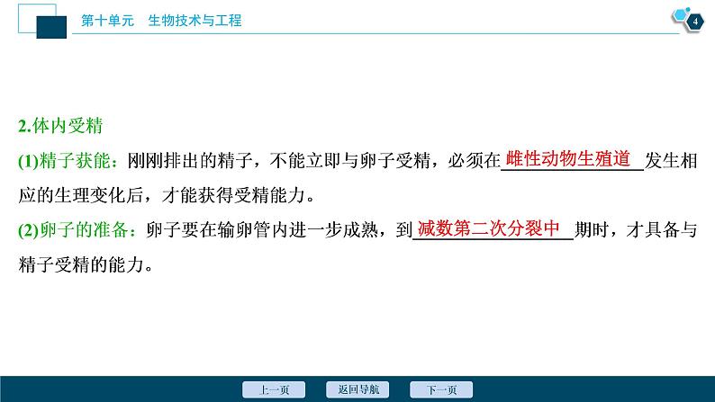 高中生物高考4 第36讲　胚胎工程、生物技术的安全性与伦理问题课件PPT05