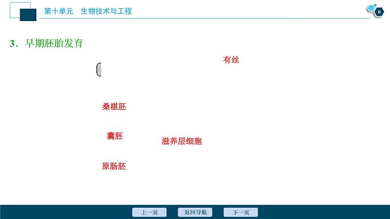 高中生物高考4 第36讲　胚胎工程、生物技术的安全性与伦理问题课件PPT07