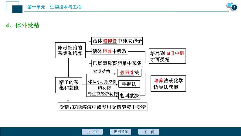 高中生物高考4 第36讲　胚胎工程、生物技术的安全性与伦理问题课件PPT08