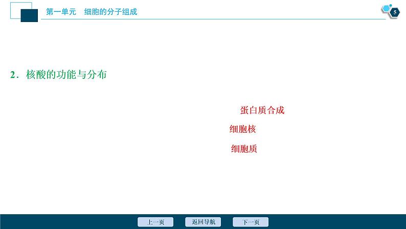 高中生物高考4　第一单元　第4讲　核酸、糖类与脂质课件PPT第6页