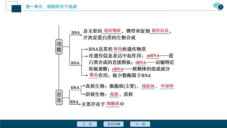 高中生物高考4　第一单元　第4讲　核酸、糖类与脂质课件PPT第8页