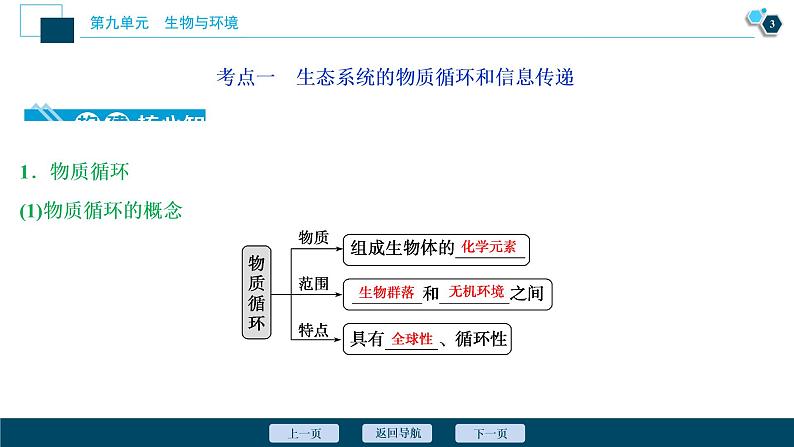 高中生物高考4　第九单元　第31讲　物质循环、信息传递和生态系统的稳定性课件PPT04