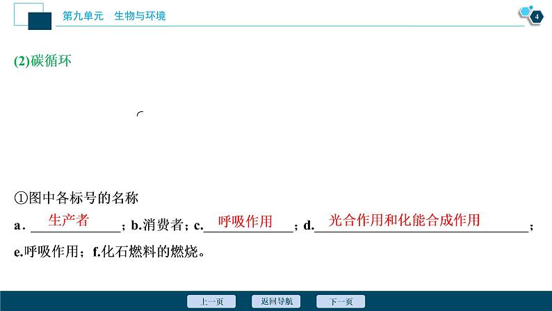 高中生物高考4　第九单元　第31讲　物质循环、信息传递和生态系统的稳定性课件PPT05