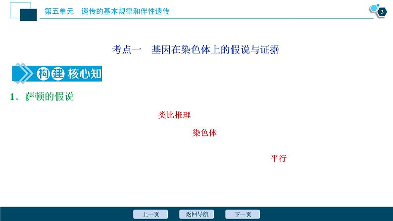 高中生物高考4　第五单元　第16讲　伴性遗传及人类遗传病课件PPT第4页