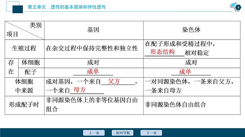 高中生物高考4　第五单元　第16讲　伴性遗传及人类遗传病课件PPT第5页