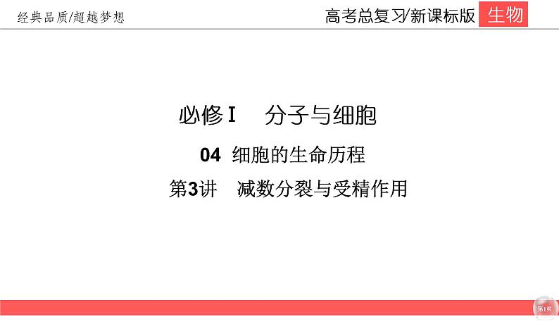 高中生物高考4-3课件PPT第1页