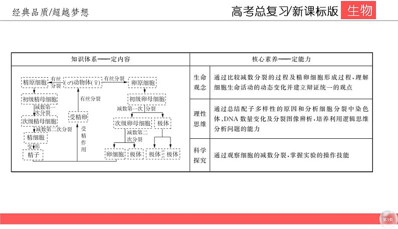 高中生物高考4-3课件PPT第3页