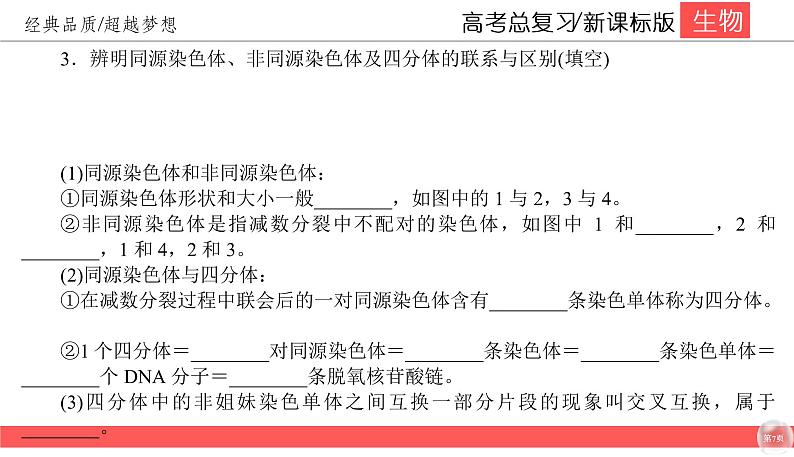 高中生物高考4-3课件PPT第7页