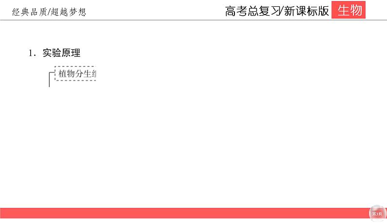 高中生物高考4-2课件PPT第3页