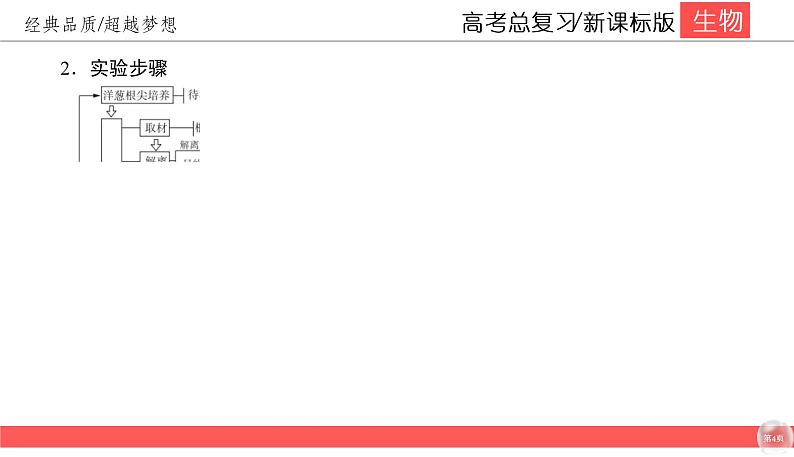 高中生物高考4-2课件PPT第4页