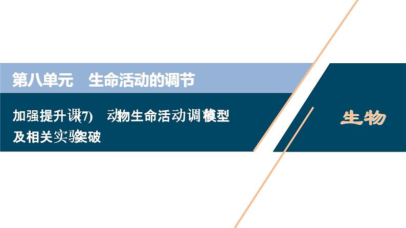 高中生物高考5　第八单元　加强提升课(7)　动物生命活动调节模型及相关实验突破课件PPT第1页