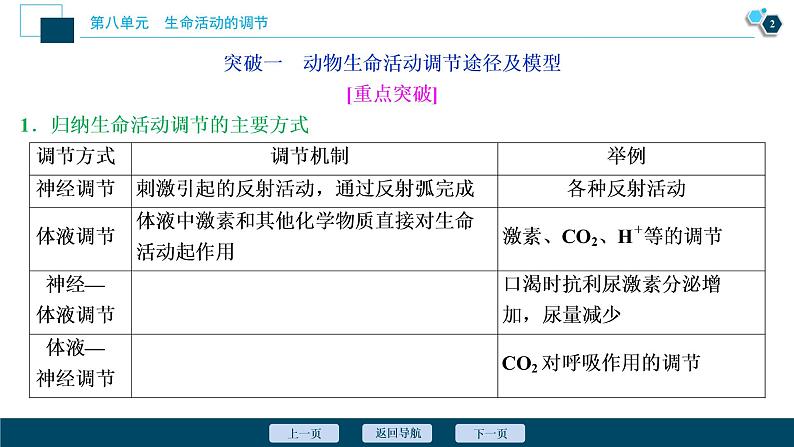 高中生物高考5　第八单元　加强提升课(7)　动物生命活动调节模型及相关实验突破课件PPT第3页