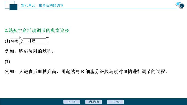 高中生物高考5　第八单元　加强提升课(7)　动物生命活动调节模型及相关实验突破课件PPT第4页