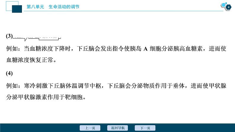 高中生物高考5　第八单元　加强提升课(7)　动物生命活动调节模型及相关实验突破课件PPT第5页