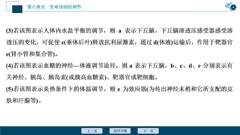 高中生物高考5　第八单元　加强提升课(7)　动物生命活动调节模型及相关实验突破课件PPT第7页