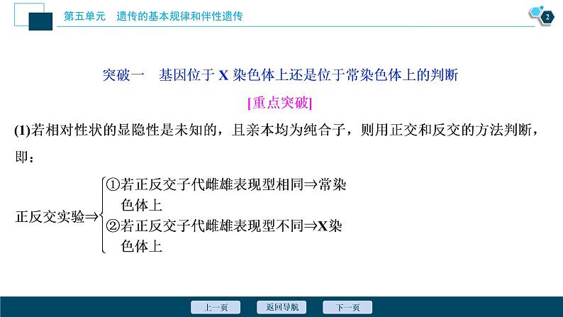 高中生物高考5　第五单元　加强提升课(5)　基因位置的判定及相关实验设计突破课件PPT第3页