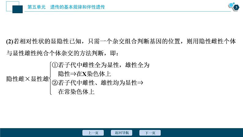 高中生物高考5　第五单元　加强提升课(5)　基因位置的判定及相关实验设计突破课件PPT第4页