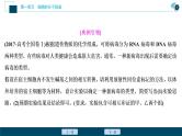 高中生物高考5　第一单元　实验技能(一)　实验设计的基本原则课件PPT