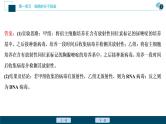 高中生物高考5　第一单元　实验技能(一)　实验设计的基本原则课件PPT