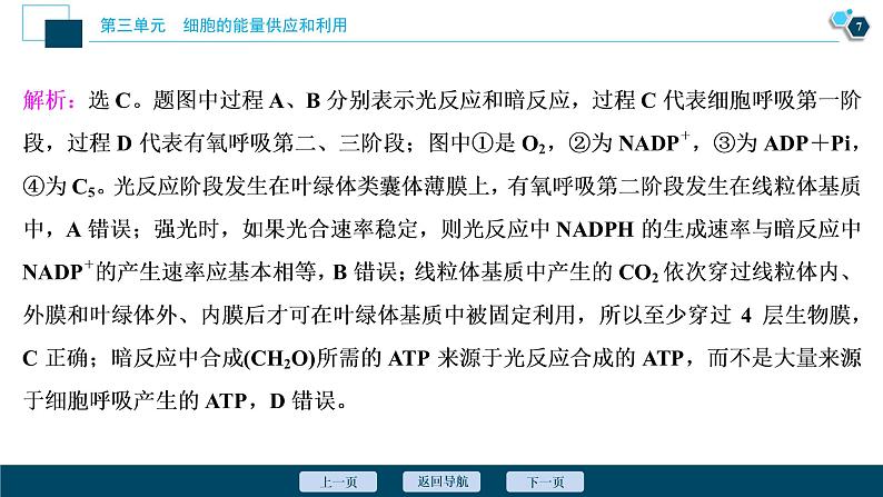 高中生物高考5 加强提升课 　光合作用与细胞呼吸综合应用课件PPT08