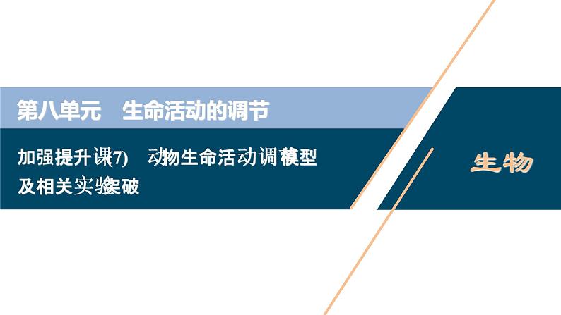 高中生物高考5 加强提升课(7)　动物生命活动调节模型及相关实验突破课件PPT01