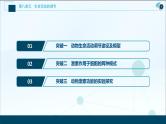 高中生物高考5 加强提升课(7)　动物生命活动调节模型及相关实验突破课件PPT