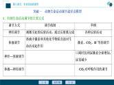 高中生物高考5 加强提升课(7)　动物生命活动调节模型及相关实验突破课件PPT