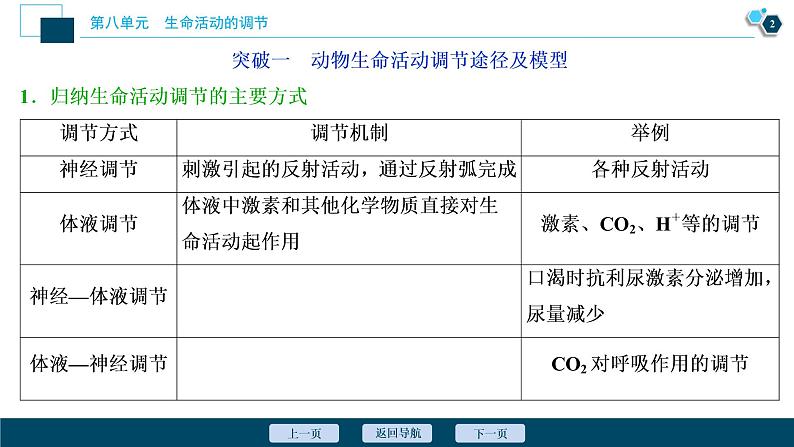 高中生物高考5 加强提升课(7)　动物生命活动调节模型及相关实验突破课件PPT03