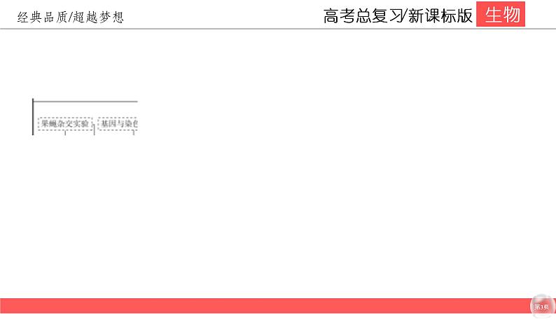 高中生物高考5-3课件PPT第3页