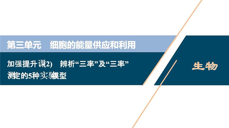 高中生物高考6　第三单元　加强提升课 　辨析“三率”及“三率”测定的5种实验模型课件PPT第1页