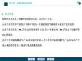 高中生物高考6　第三单元　加强提升课 　辨析“三率”及“三率”测定的5种实验模型课件PPT