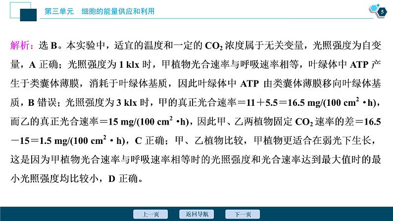 高中生物高考6　第三单元　加强提升课 　辨析“三率”及“三率”测定的5种实验模型课件PPT第6页