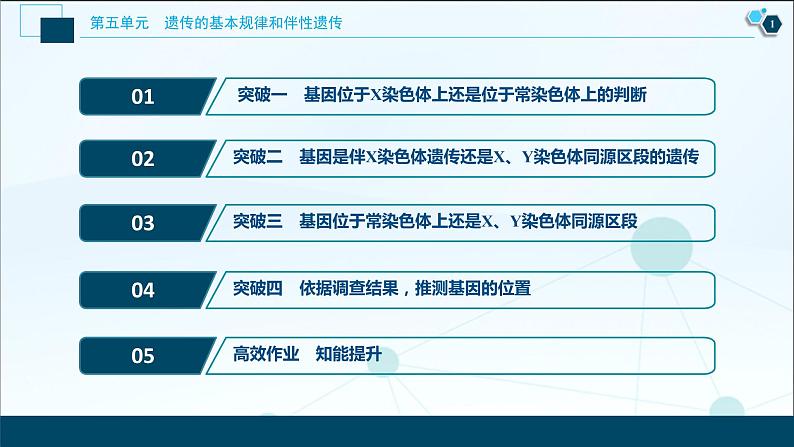 高中生物高考6 加强提升课(5)　基因位置的判定及相关实验设计突破课件PPT02