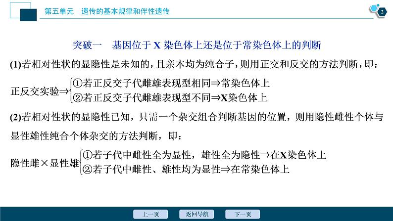 高中生物高考6 加强提升课(5)　基因位置的判定及相关实验设计突破课件PPT03