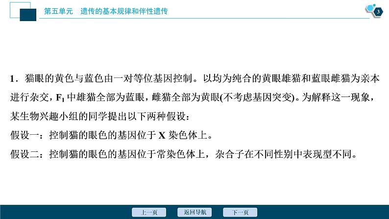 高中生物高考6 加强提升课(5)　基因位置的判定及相关实验设计突破课件PPT04