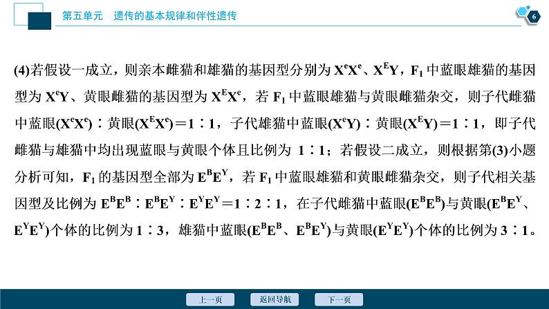 高中生物高考6 加强提升课(5)　基因位置的判定及相关实验设计突破课件PPT07