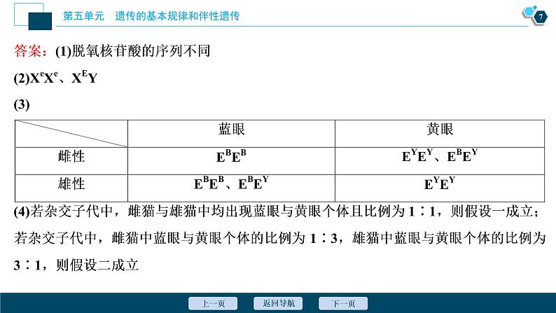 高中生物高考6 加强提升课(5)　基因位置的判定及相关实验设计突破课件PPT08