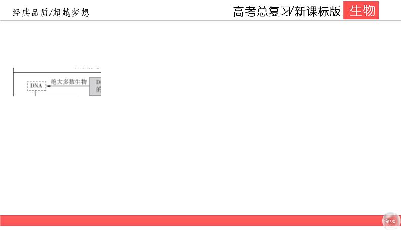 高中生物高考6-1课件PPT第3页