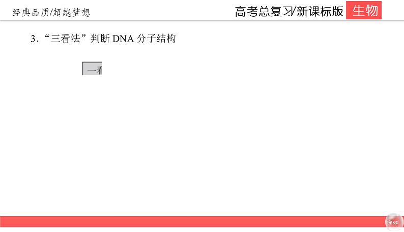 高中生物高考6-2课件PPT08