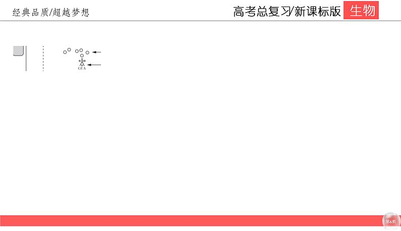 高中生物高考6-3课件PPT第6页