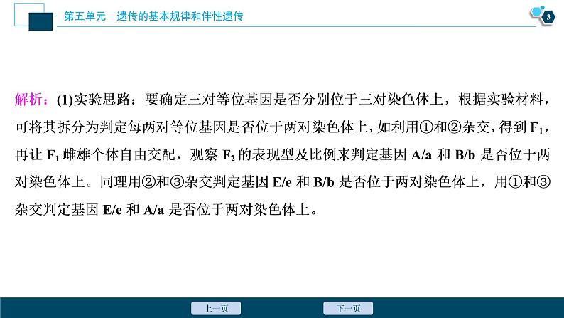 高中生物高考7 实验技能(四)　实验的假设和结论课件PPT第4页