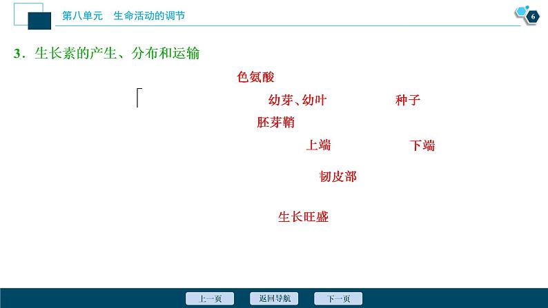 高中生物高考8 第27讲　植物的激素调节课件PPT第7页